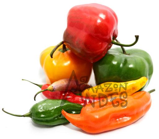 Mezcla de ajíes peruanos frescos rojos, naranjas, amarillos y verdes