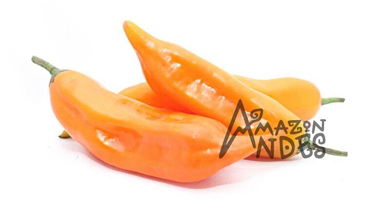 Fresh Peruvian aji amarillo peppers in green, yellow and orange ripening stages