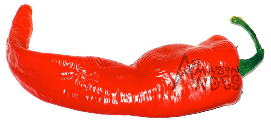 Whole dried red Peruvian paprika peppers for food ingredient applications
