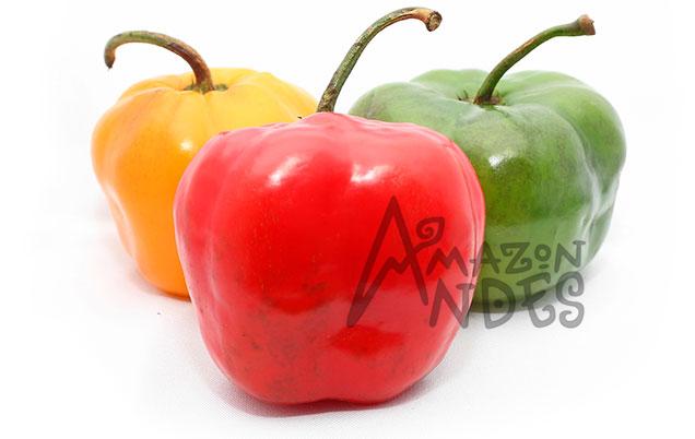 Fresh red, yellow and green Peruvian rocoto peppers on a white background