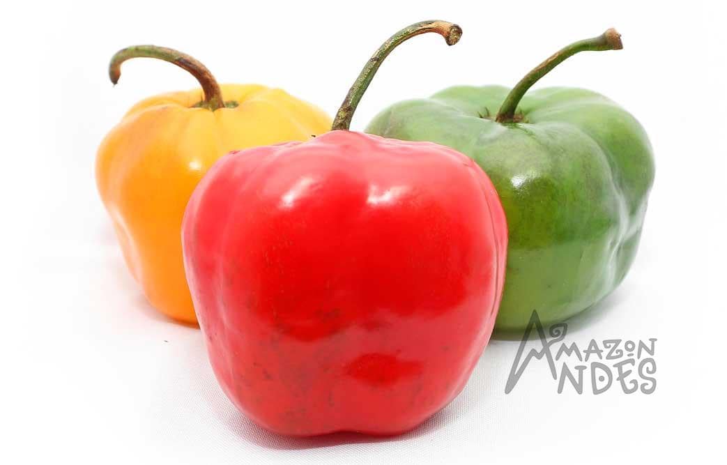 Rocotos peruanos rojos, naranjas y verdes