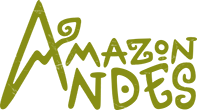 logo-amazon-andes-responsive